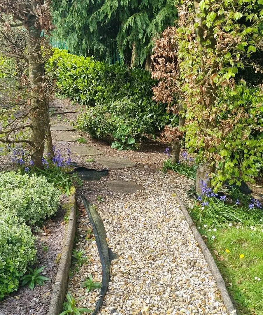 Holiday home Pinewood Lodge Cork